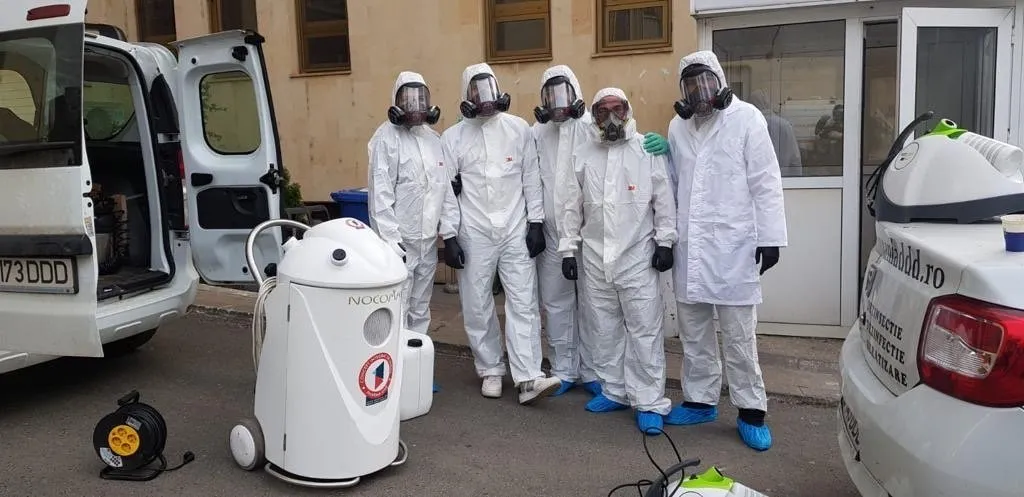 Ghid complet pentru eliminarea ploșnițelor și gândacilor Metode naturale de combatere a insectelor nedorite