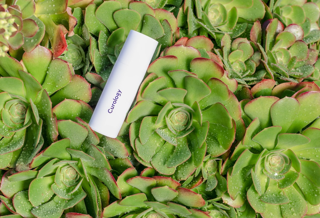 Photo Product Launch Timeline