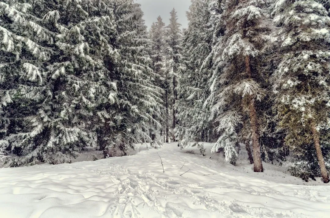 Photo Hot/cold pack