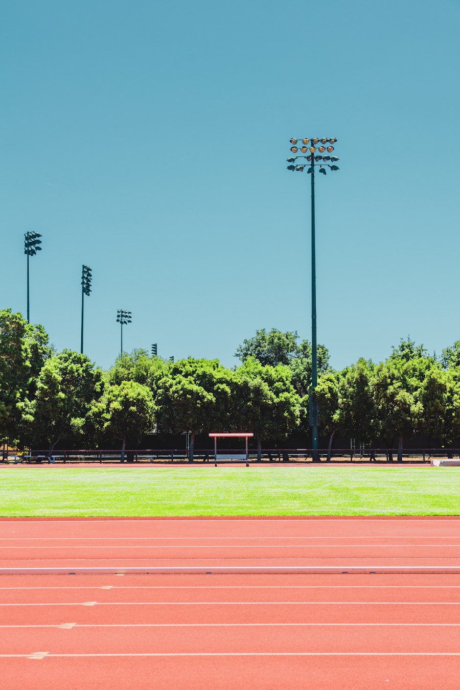 Photo "How to intelligently plan an efficient sports program"