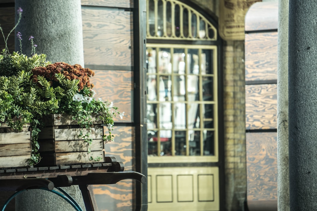 Photo evening routine