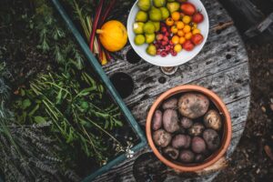 Photo organize vegetable garden