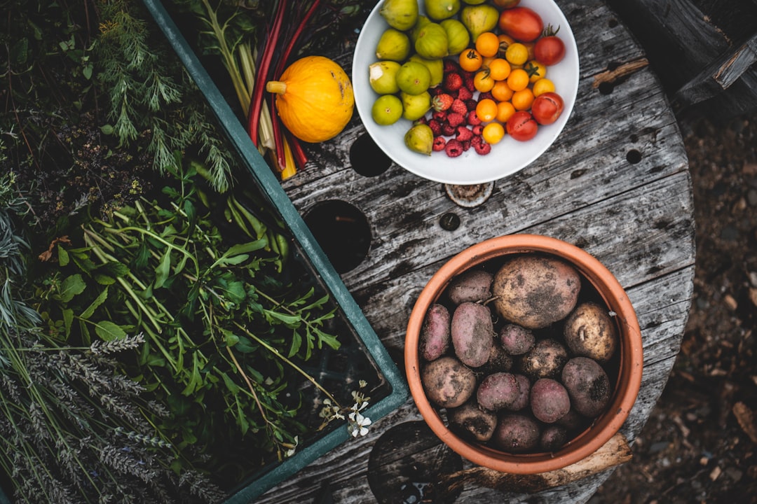 Photo organize vegetable garden