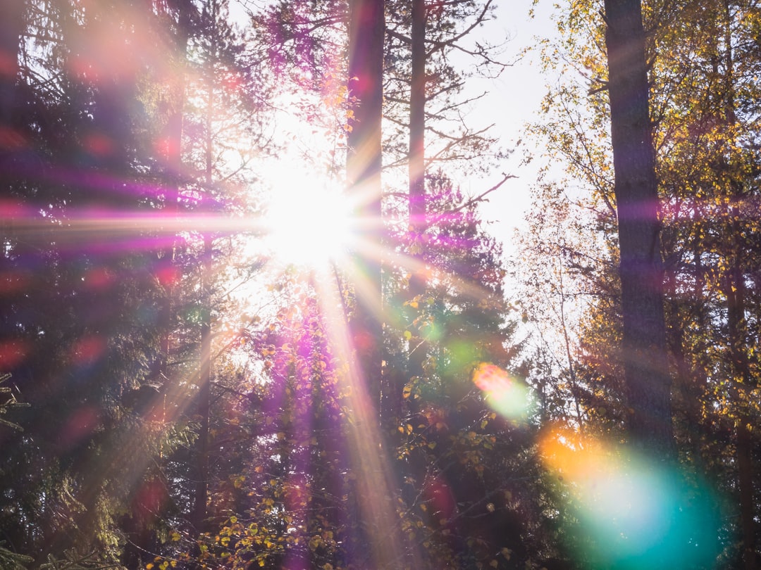 Photo sun exposure