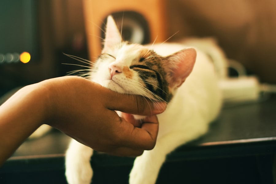 self-care