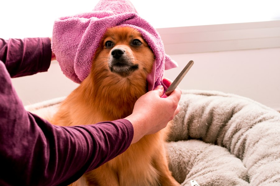 Photo self-care