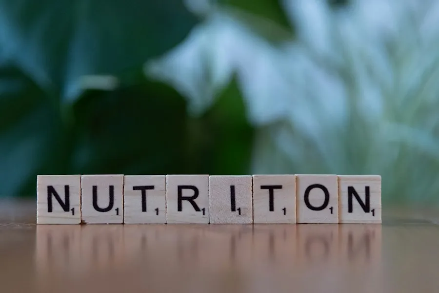 nutrition guide