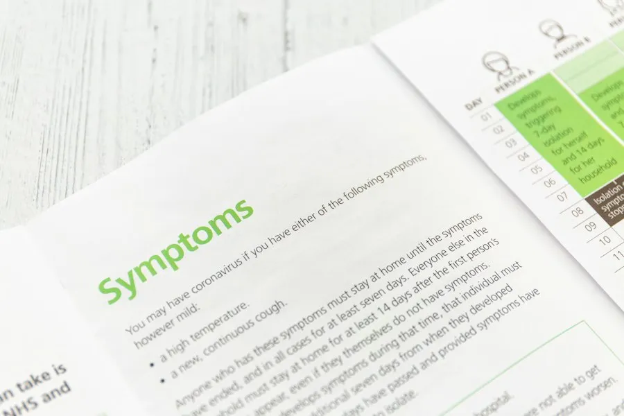 wellness guide expert insights 2024