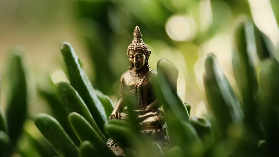 mindfulness basics guide